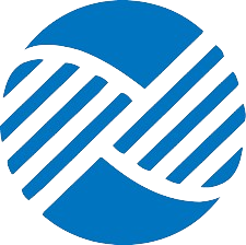 Link Japan Careers